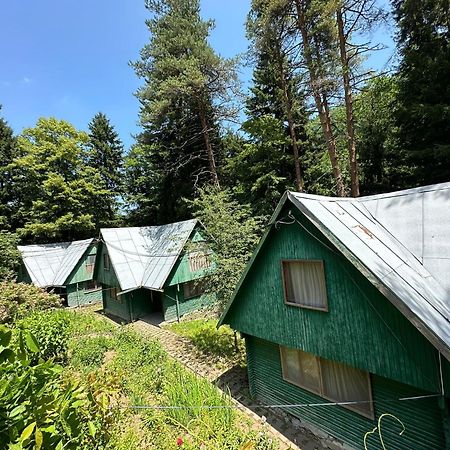 Nunisi Forest Hotel & Spa المظهر الخارجي الصورة