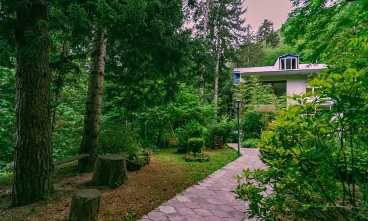 Nunisi Forest Hotel & Spa المظهر الخارجي الصورة