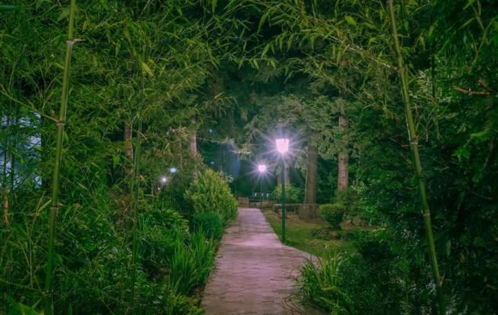 Nunisi Forest Hotel & Spa المظهر الخارجي الصورة