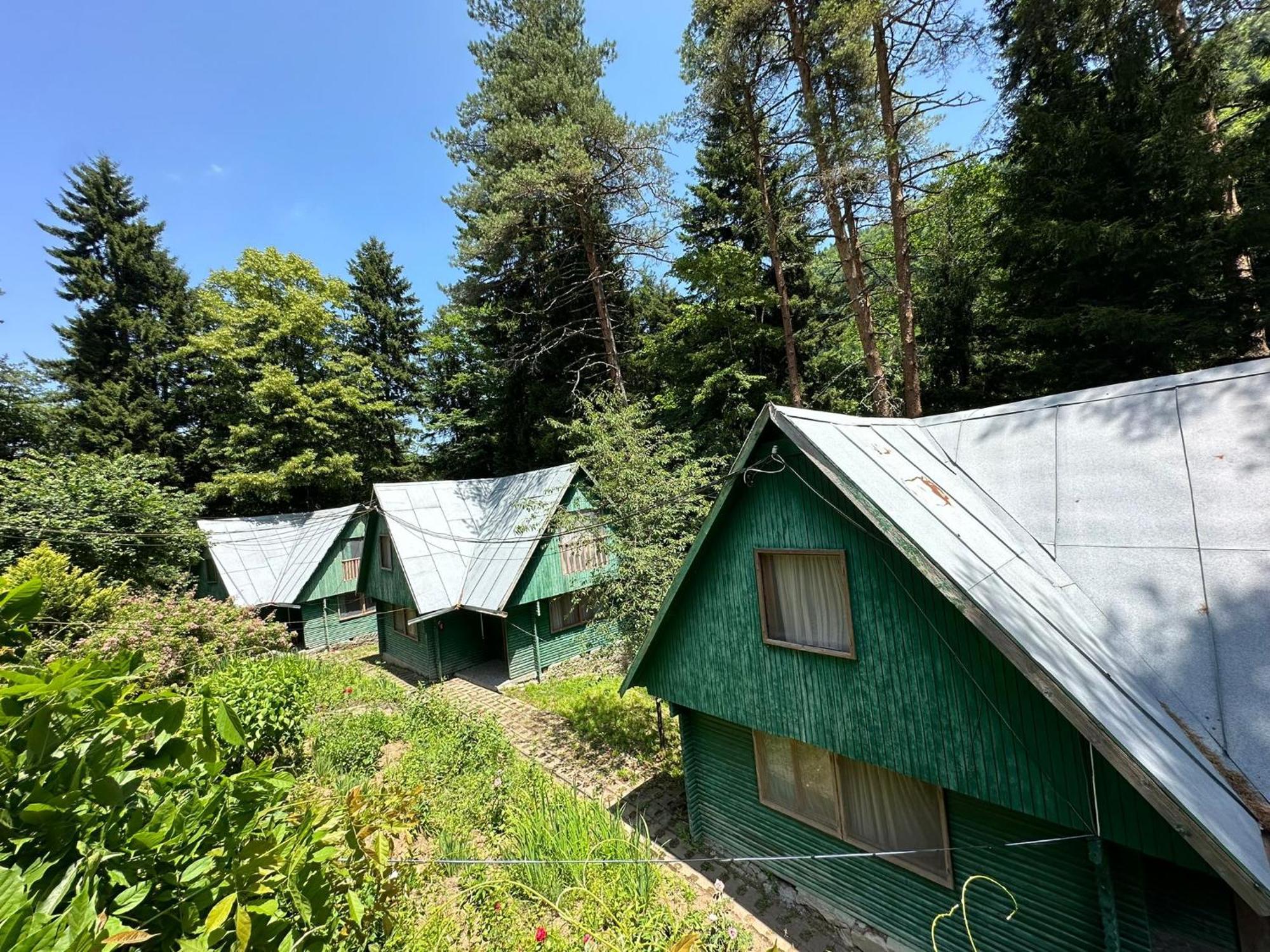 Nunisi Forest Hotel & Spa المظهر الخارجي الصورة