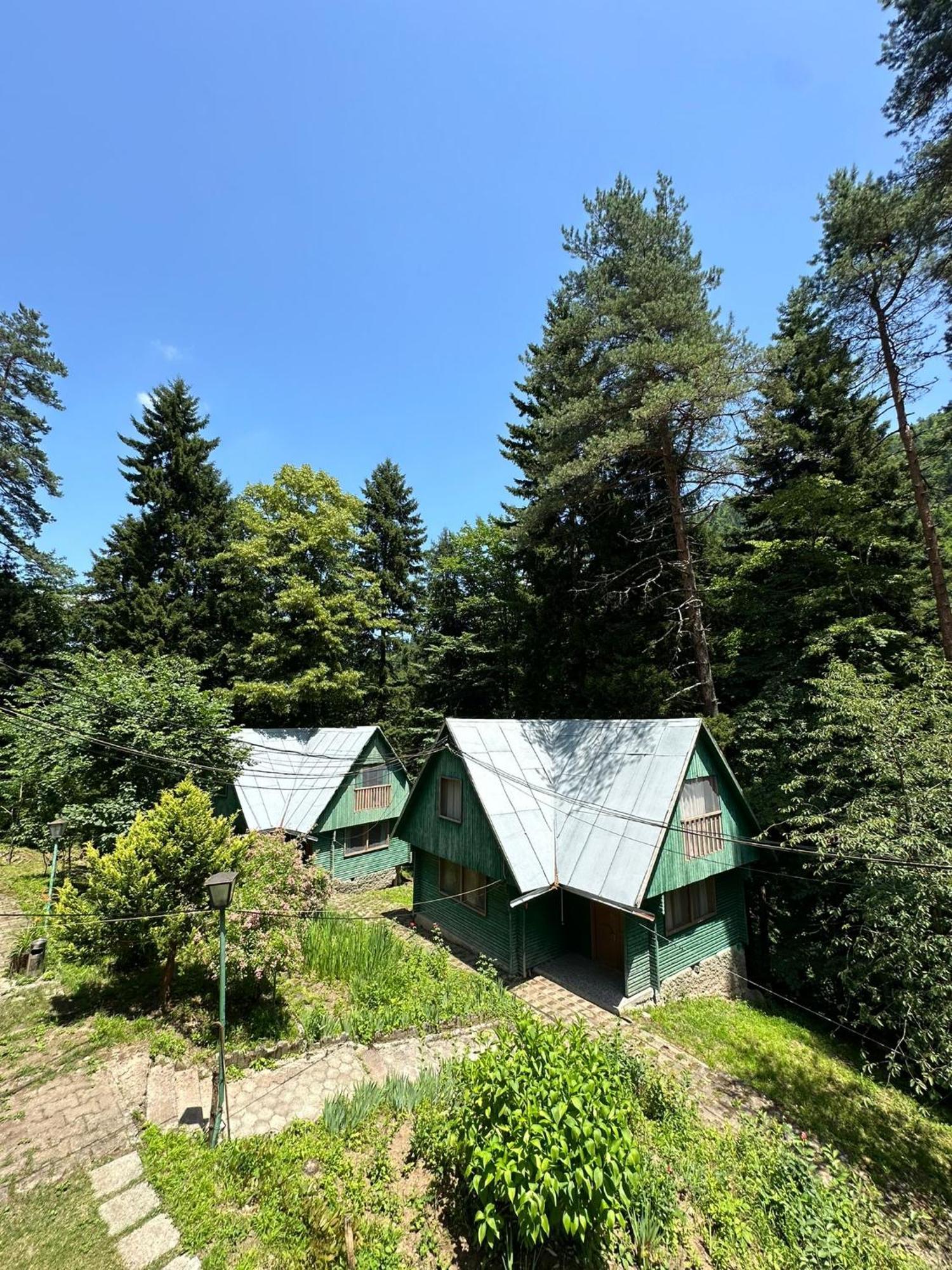 Nunisi Forest Hotel & Spa المظهر الخارجي الصورة