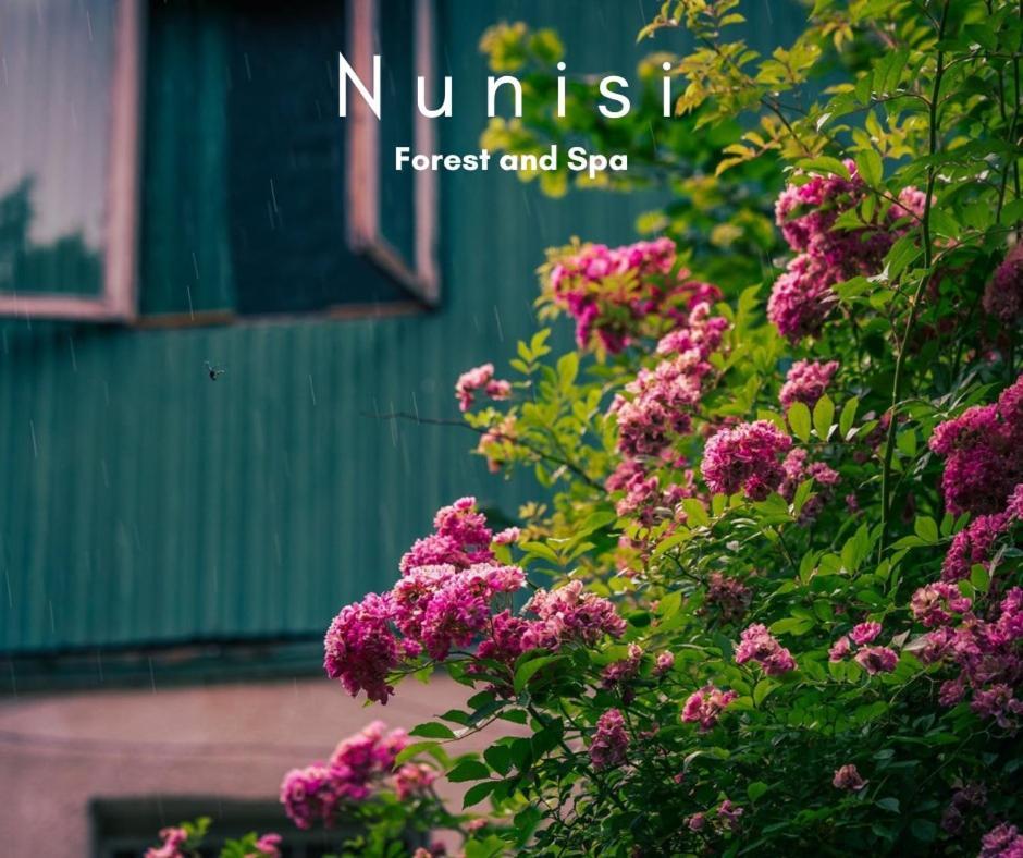 Nunisi Forest Hotel & Spa المظهر الخارجي الصورة