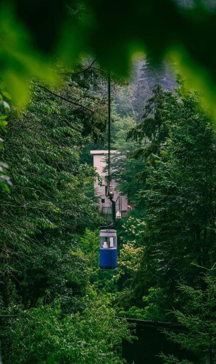 Nunisi Forest Hotel & Spa المظهر الخارجي الصورة