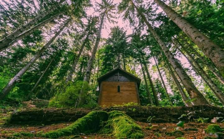 Nunisi Forest Hotel & Spa المظهر الخارجي الصورة