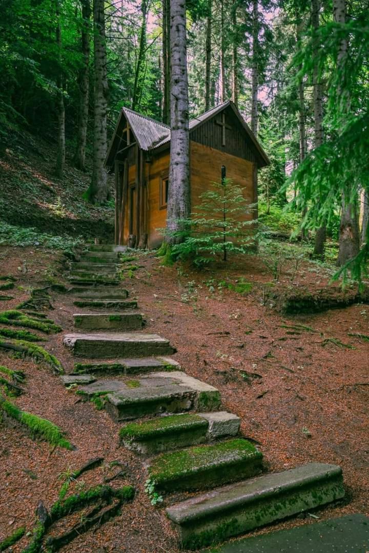 Nunisi Forest Hotel & Spa المظهر الخارجي الصورة